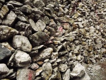 圖 鹽田港礦石類產(chǎn)品怎么進口,成本高嗎 廣州物流