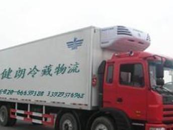 從廣州到上海的專業冷鏈物流解決方案 冷藏運輸與順德專線服務